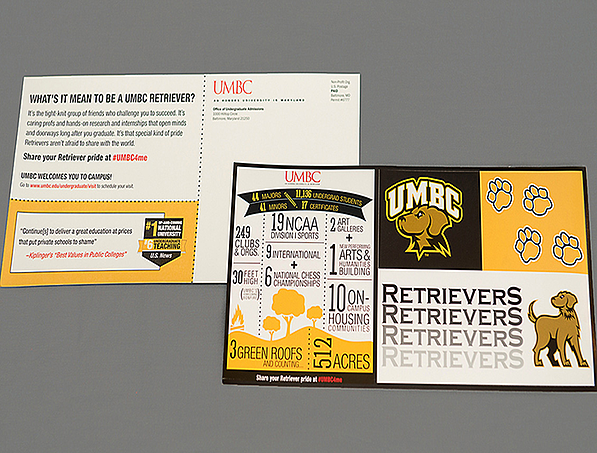 infographic style mailer