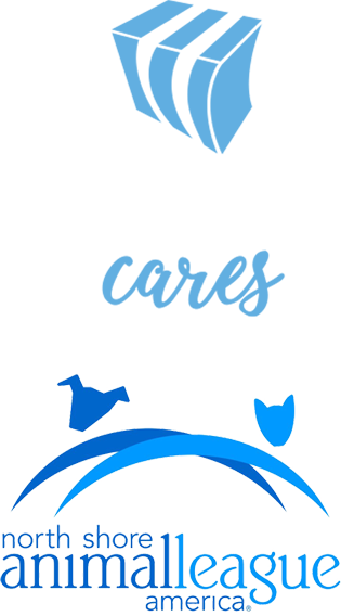 wilen-care-img