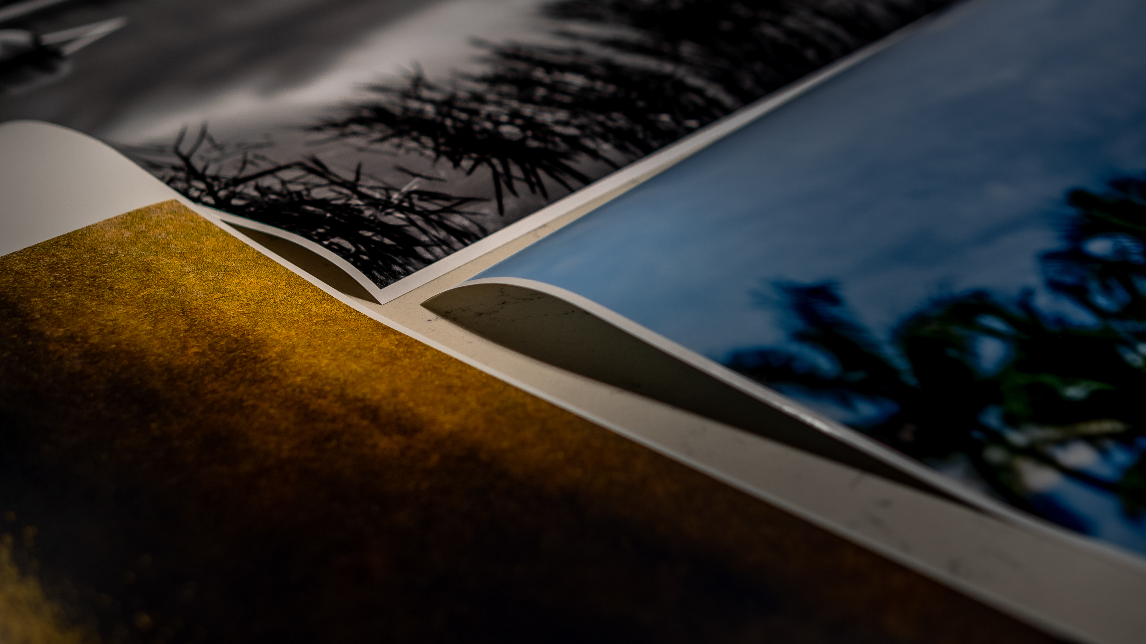 closeup-shot-of-printed-monochrome-and-color-photo-2026-01-07-07-15-01-utc